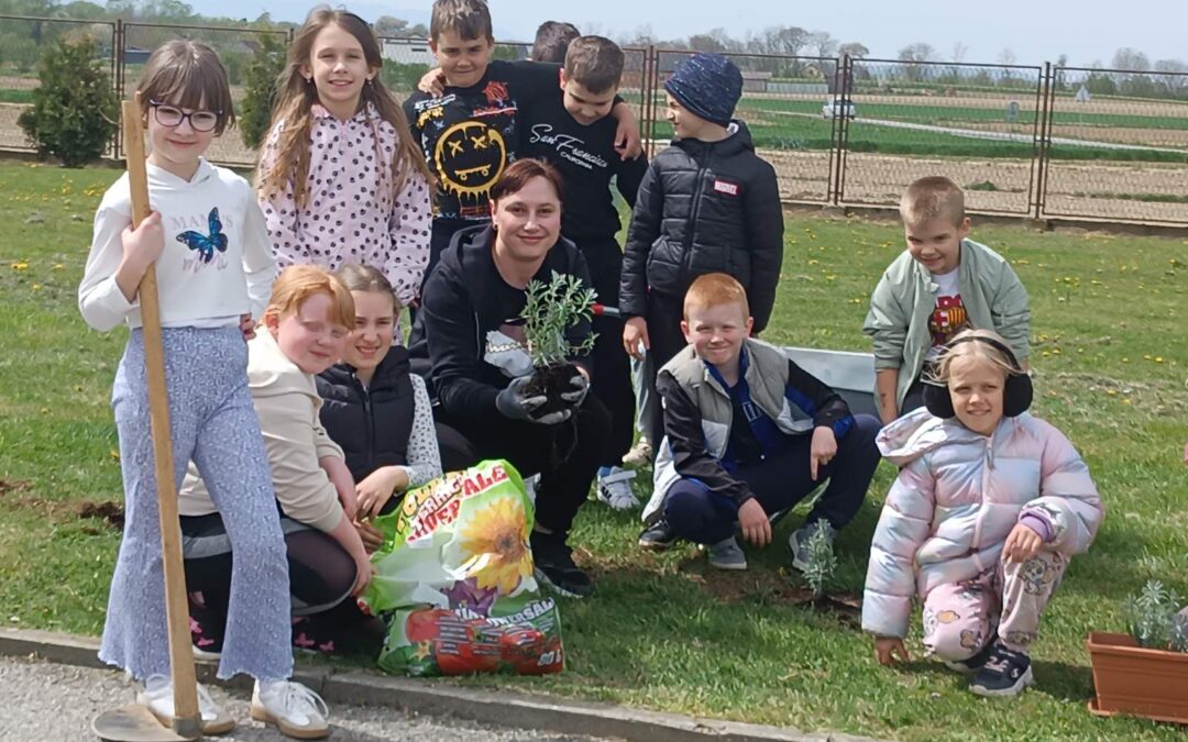 Mali vrtlari presađivali rajčicu i sadili lavandu