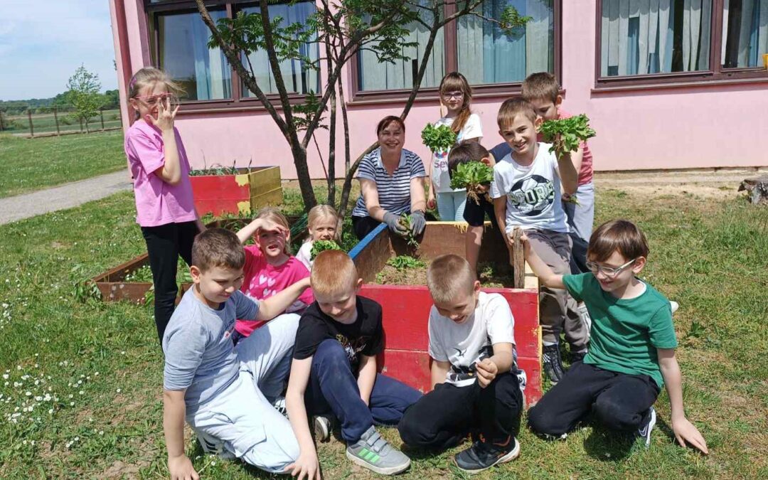 Mali vrtlari posadili rajčicu i papriku